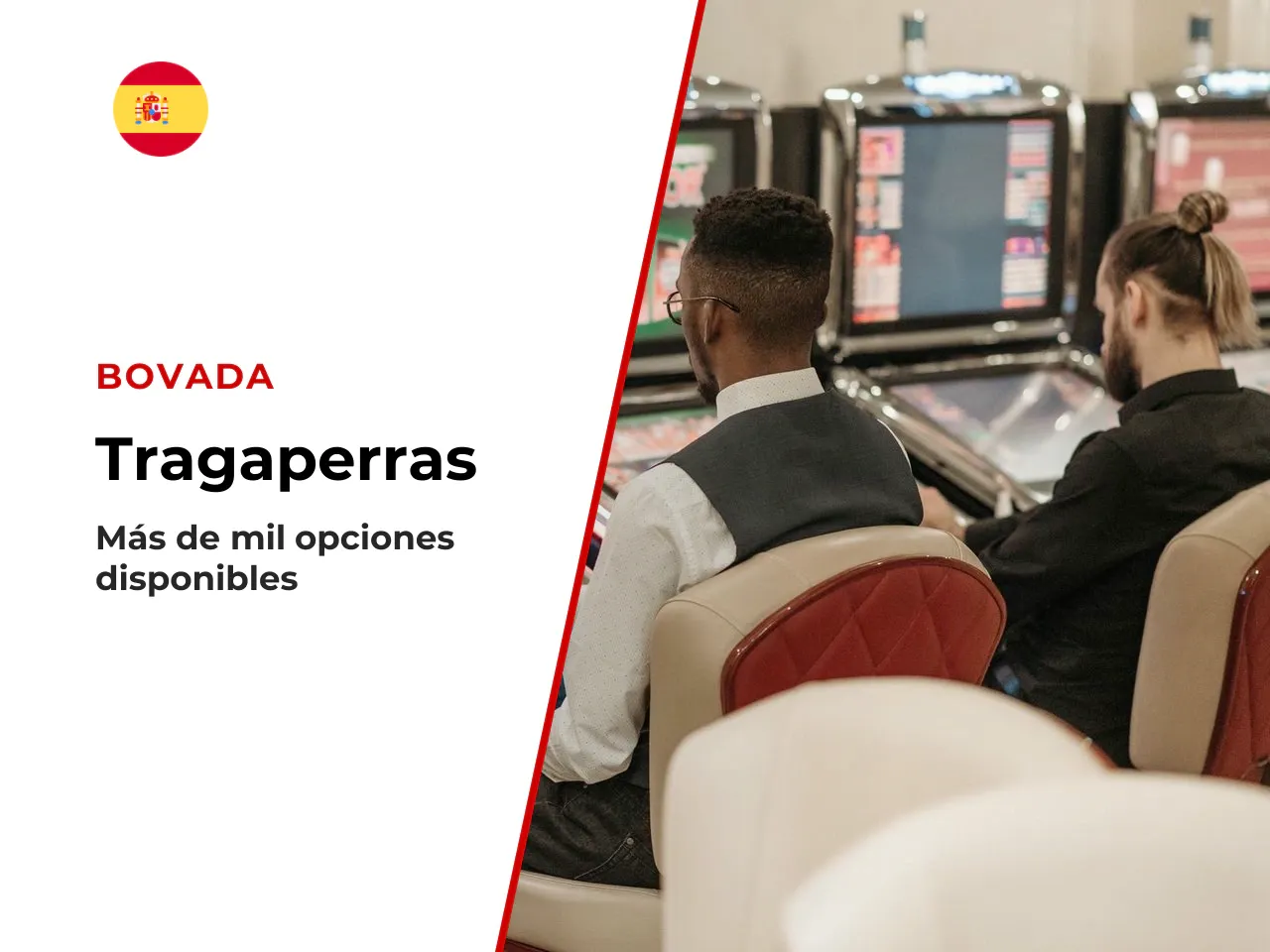 4.1 Tamaño y composición del catálogo