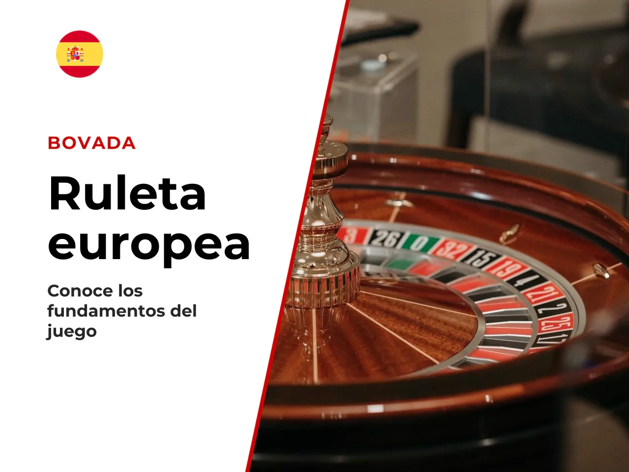Anatomía de la rueda y del