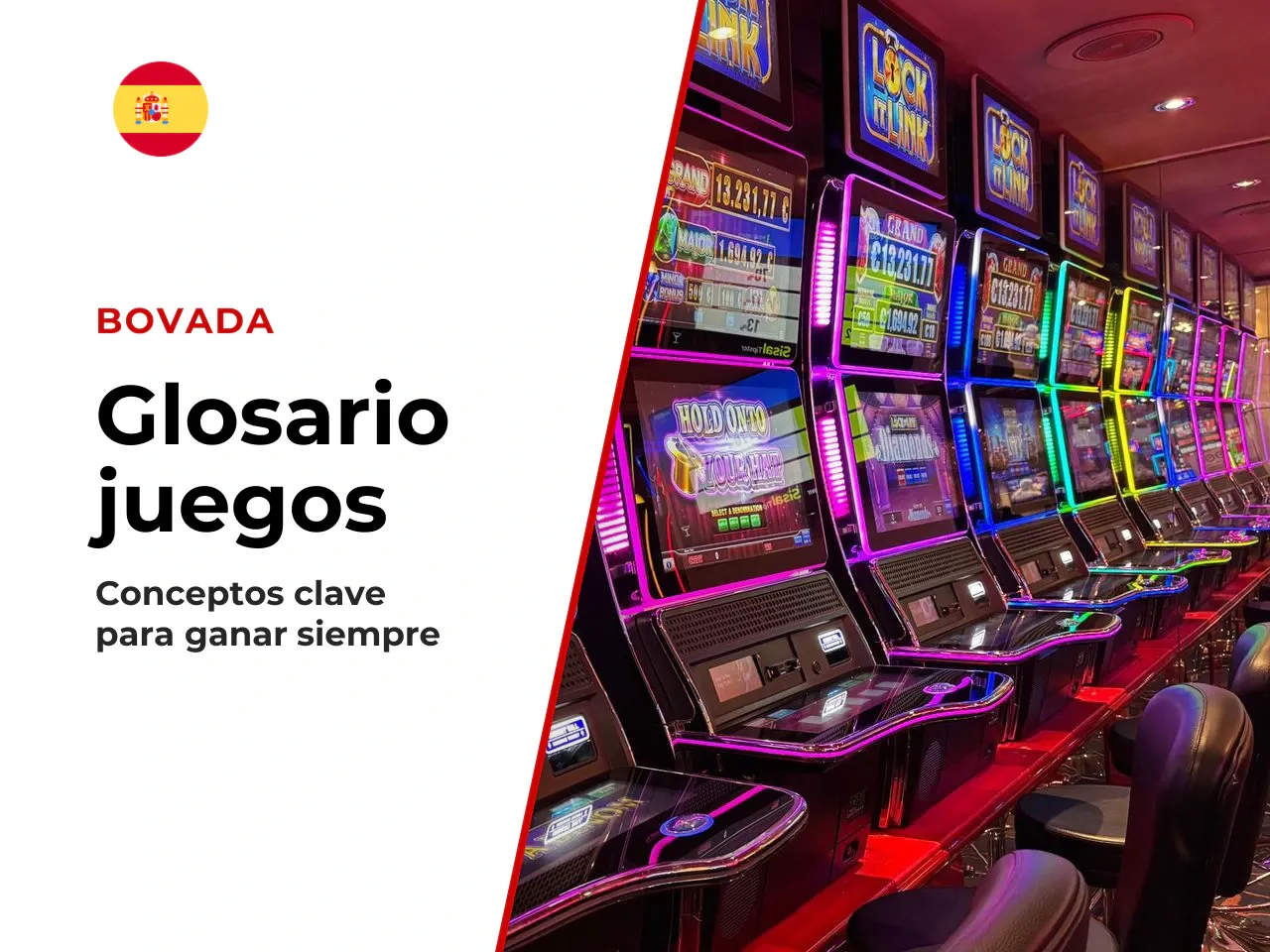 Glosario rápido para principiantes