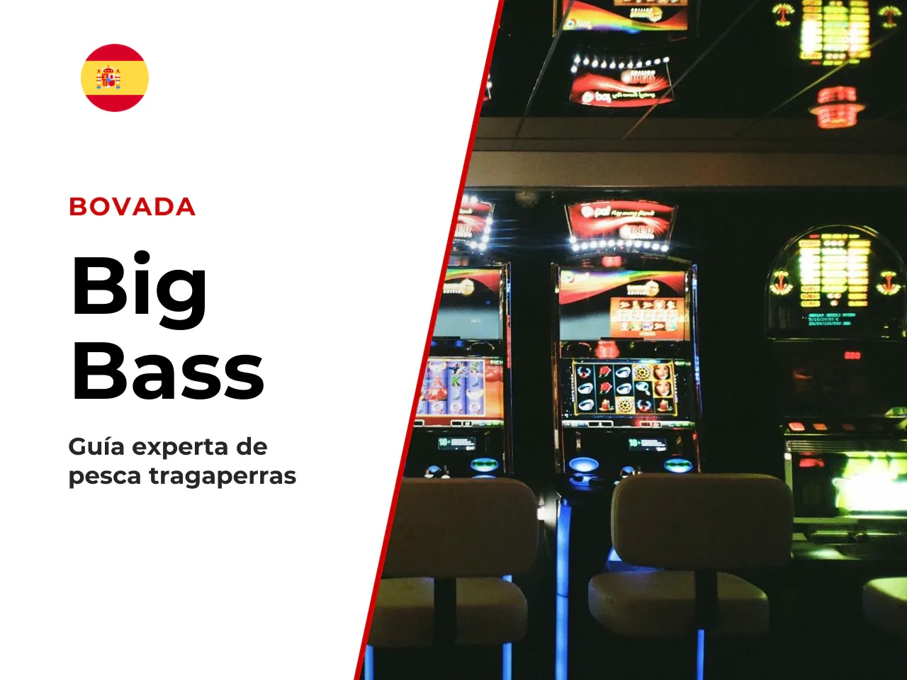 1. Introducción por qué Big Bass