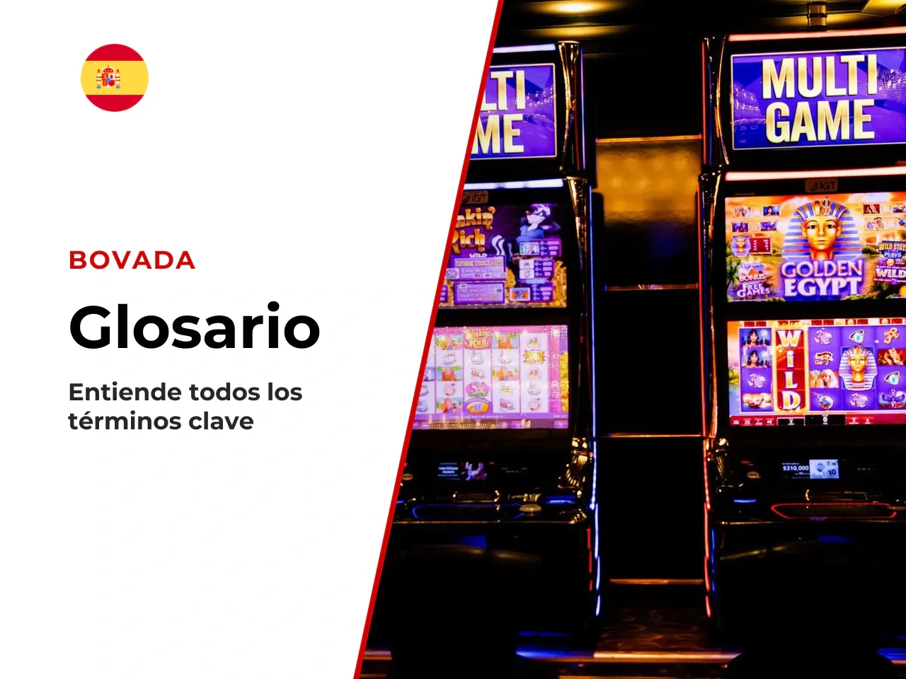 Anexo A. Glosario técnico