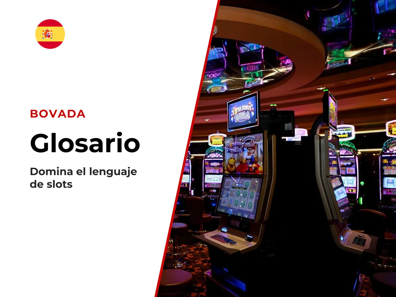 Glosario rápido de términos. Un puñado