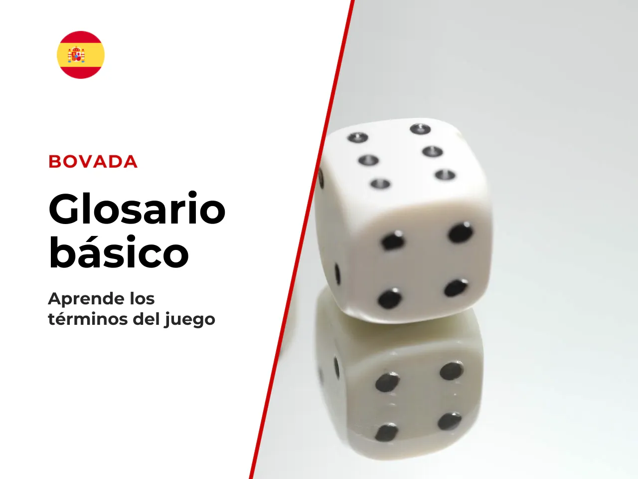 2.5. Glosario rápido para principiantes. Si